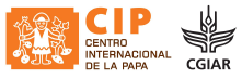 logo-cip